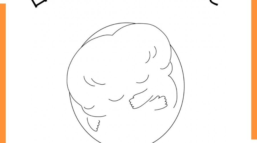 いわき市、産後ケア